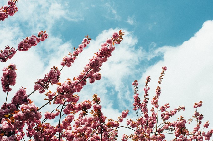 timo-vijn-yjiZAbTDkik-unsplash