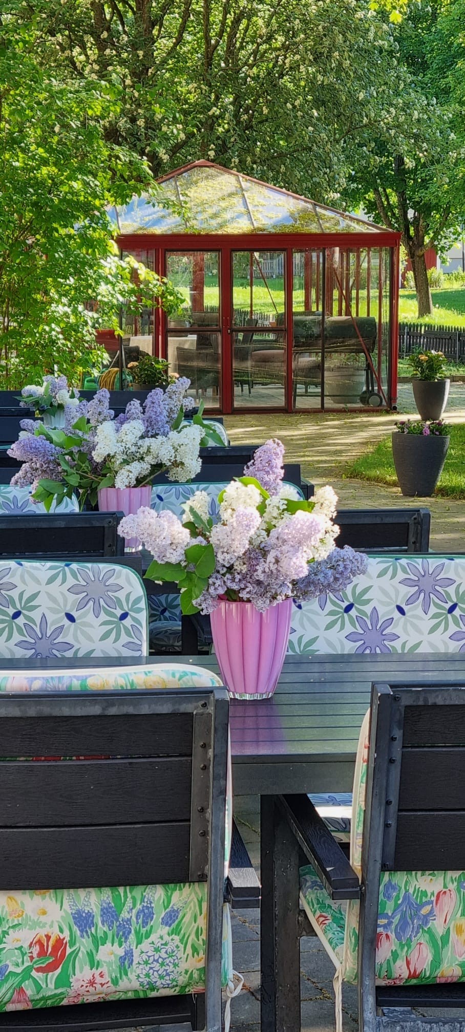 Växthus och syrener